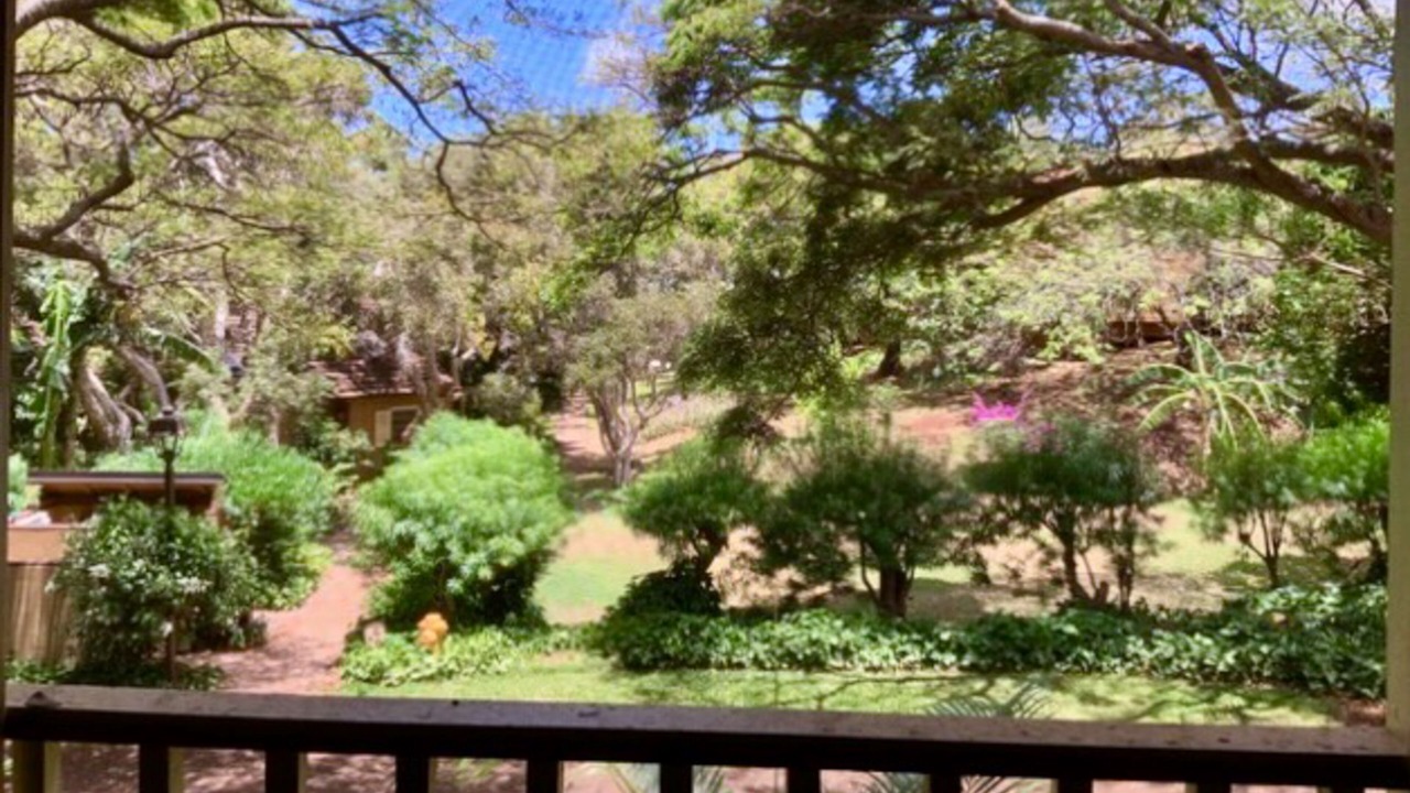 Photo of Outdoor in Maunaloa