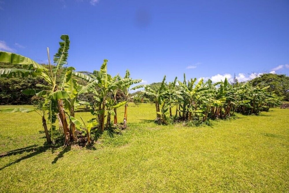 Photo of Outdoor in Hauula