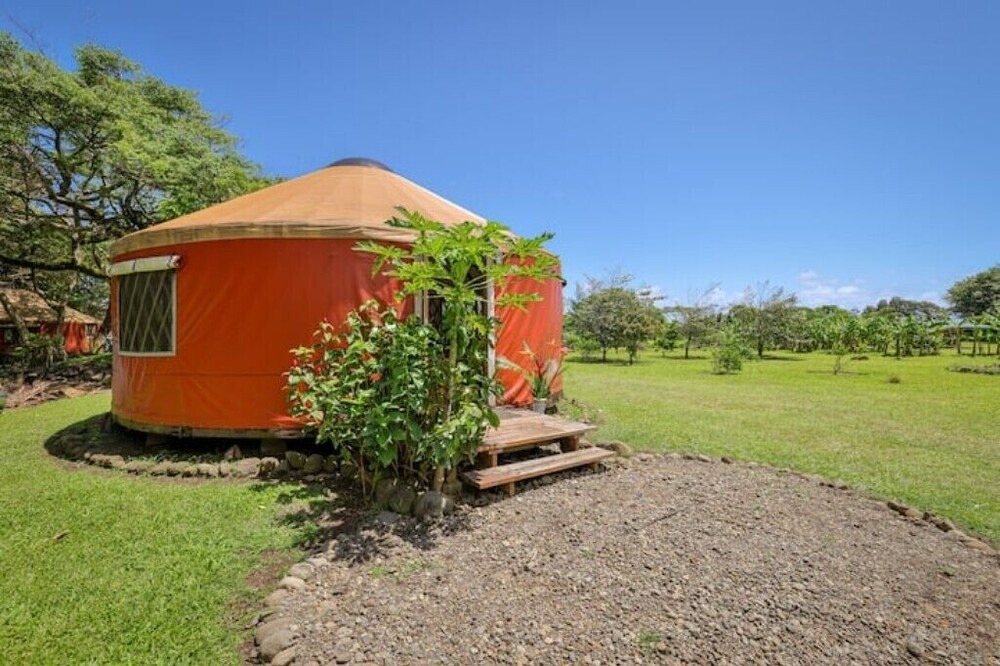 Photo of Others in Hauula