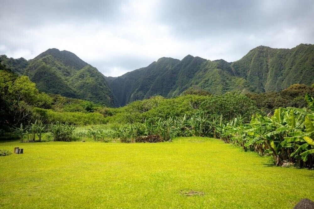 Photo of Others in Hauula