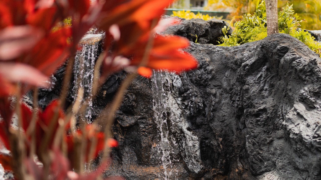 Photo of Outdoor in Princeville