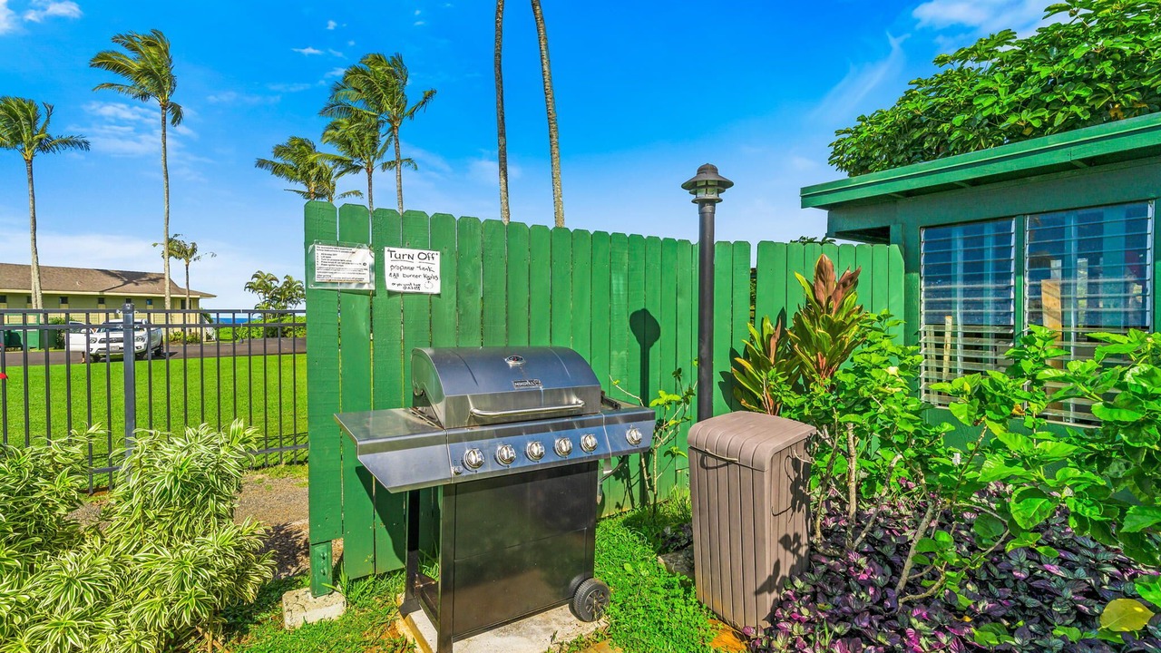 Photo of Outdoor in Princeville
