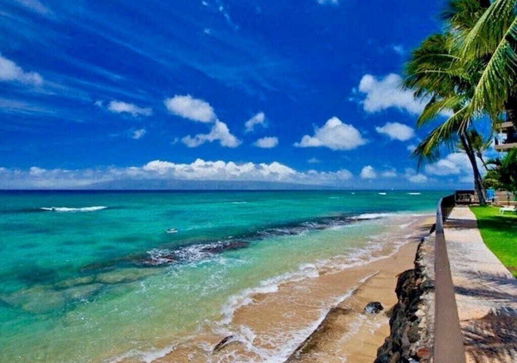 Photo of Others in Diamond Head - Kapahulu - St. Louis