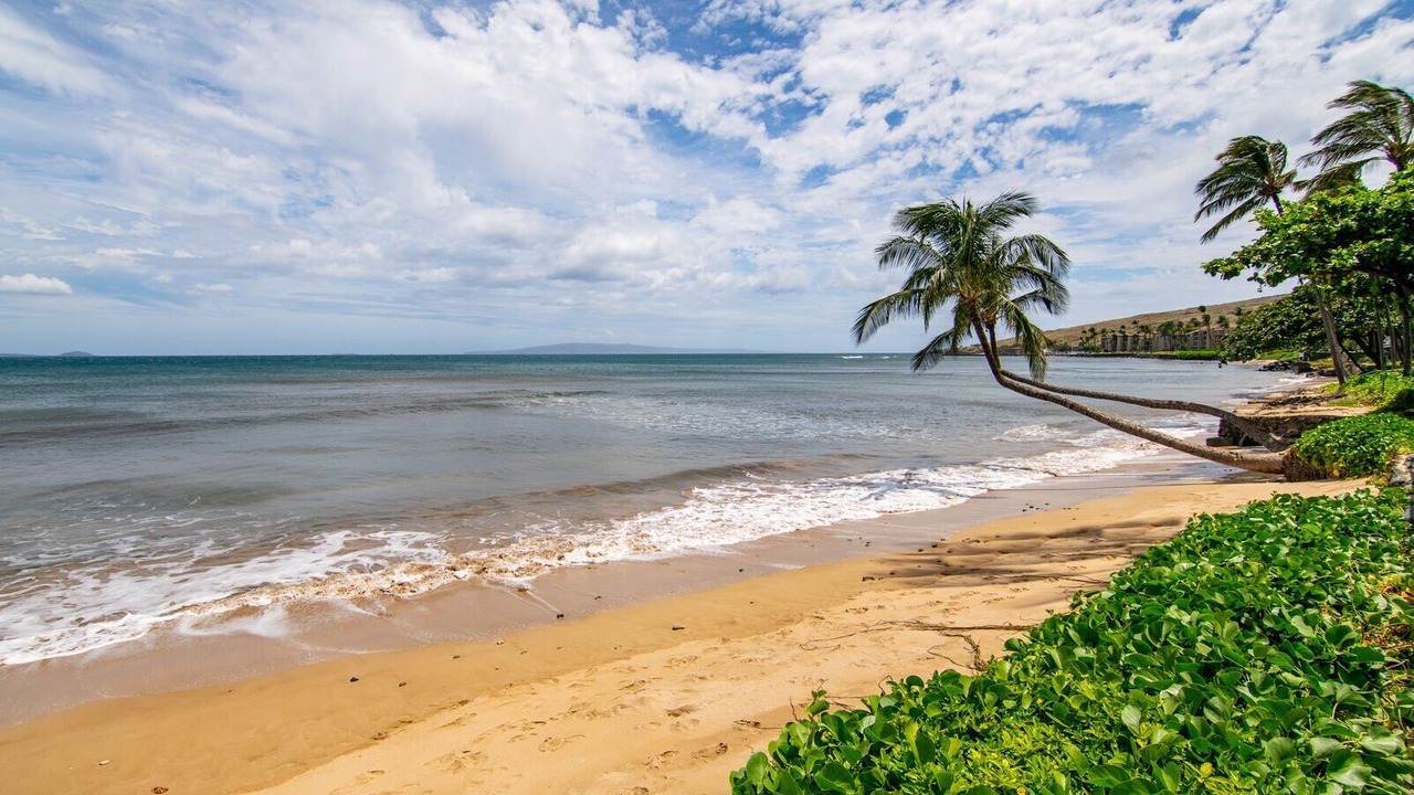 Photo of Others in Maalaea