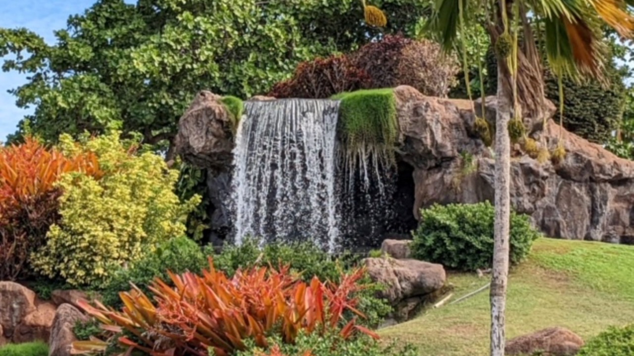 Photo of Outdoor in Kapolei