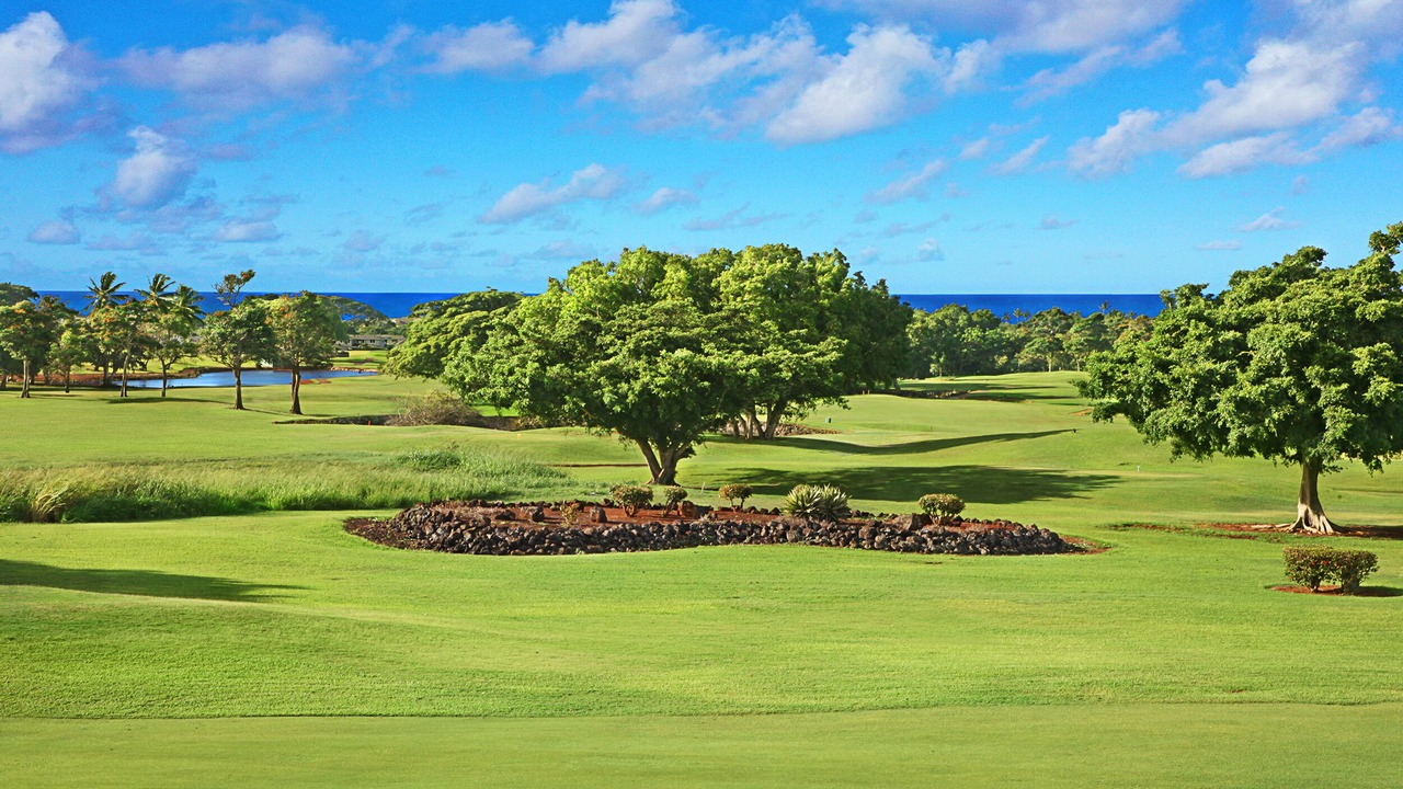 Photo of Others in Poipu