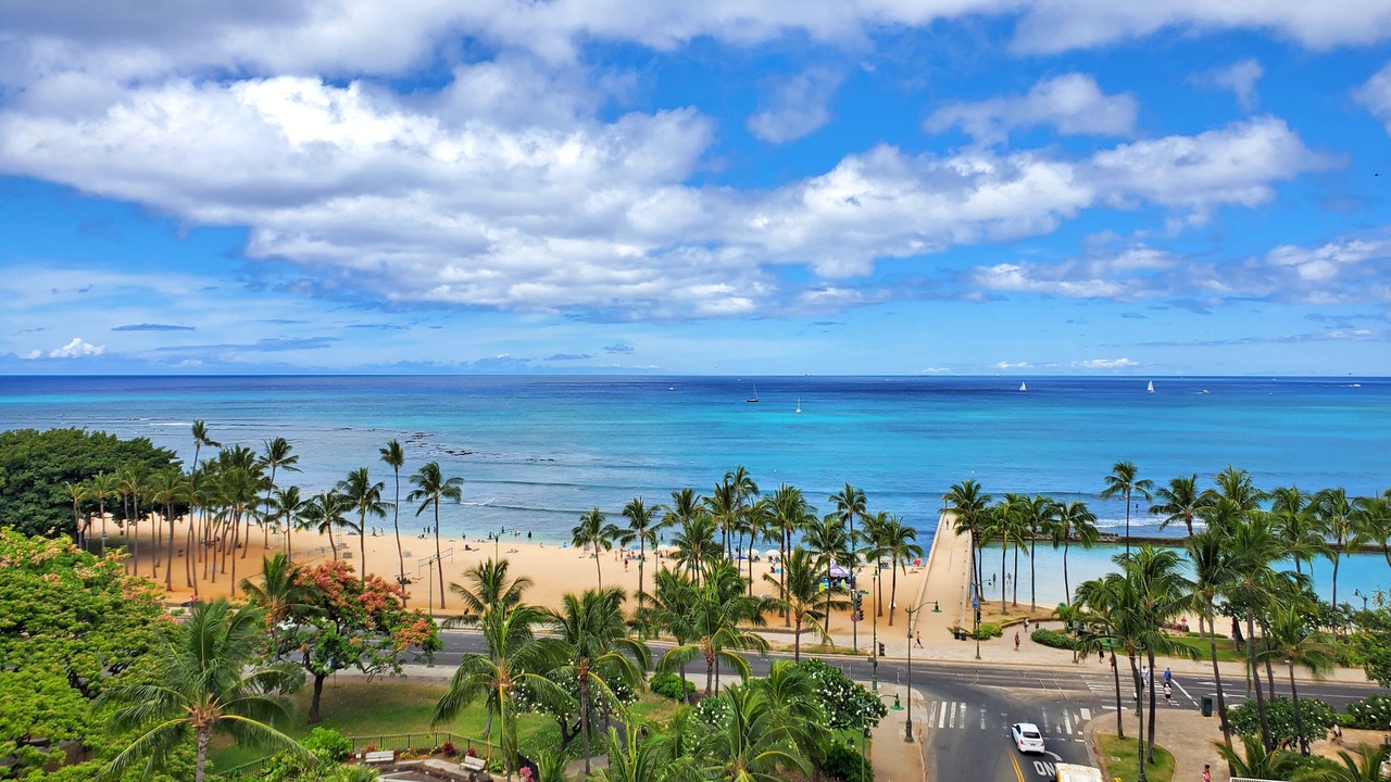 Photo of Others in Waikiki