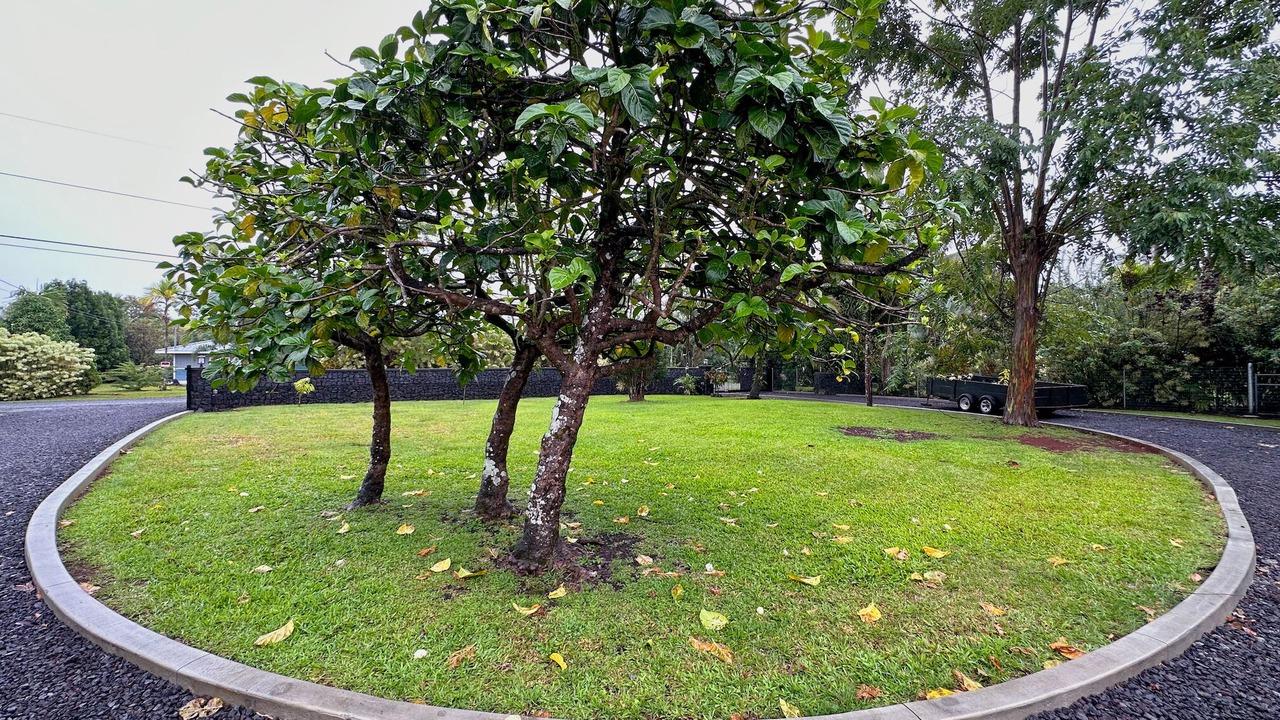 Photo of Outdoor in Keaau