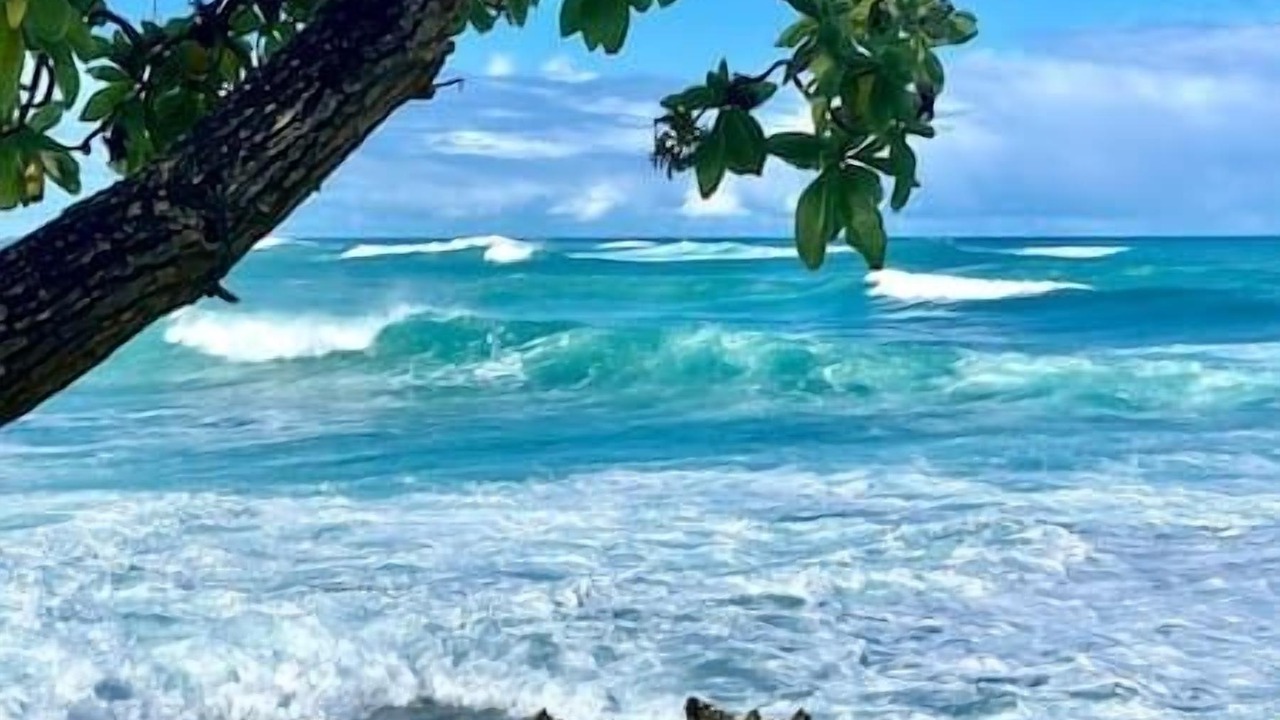 Photo of Others in Kahuku