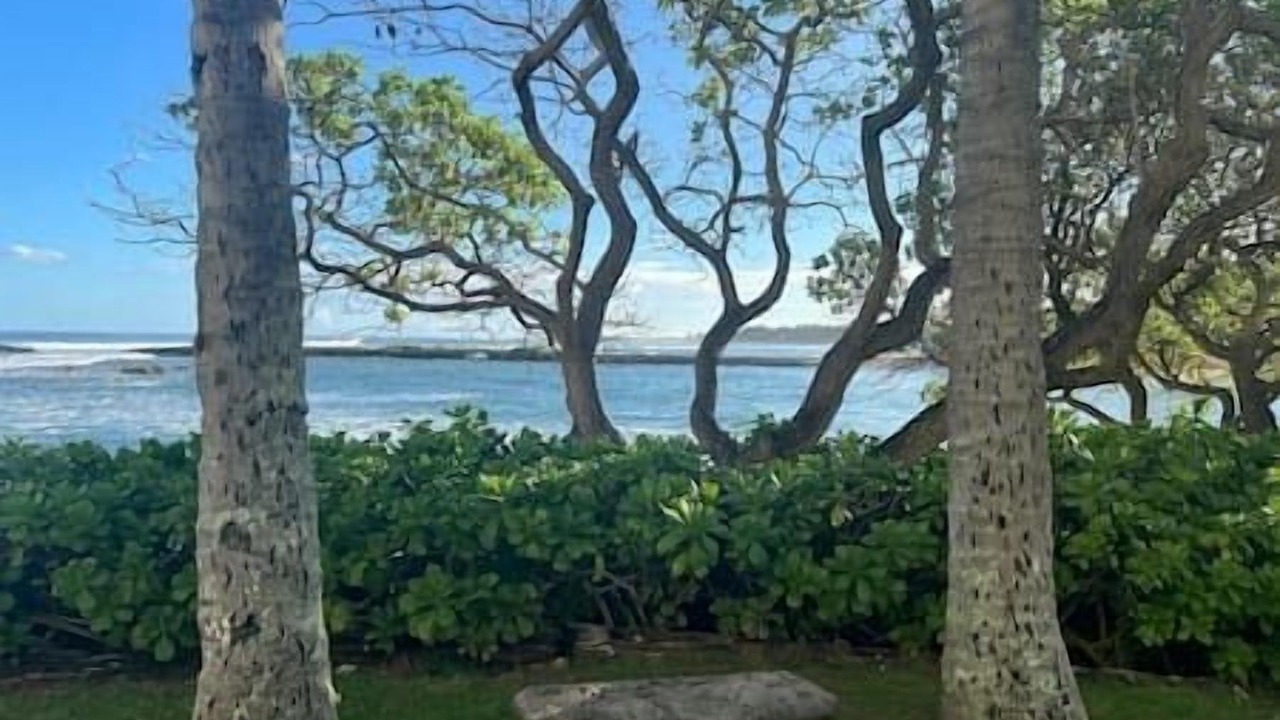 Photo of Outdoor in Kahuku