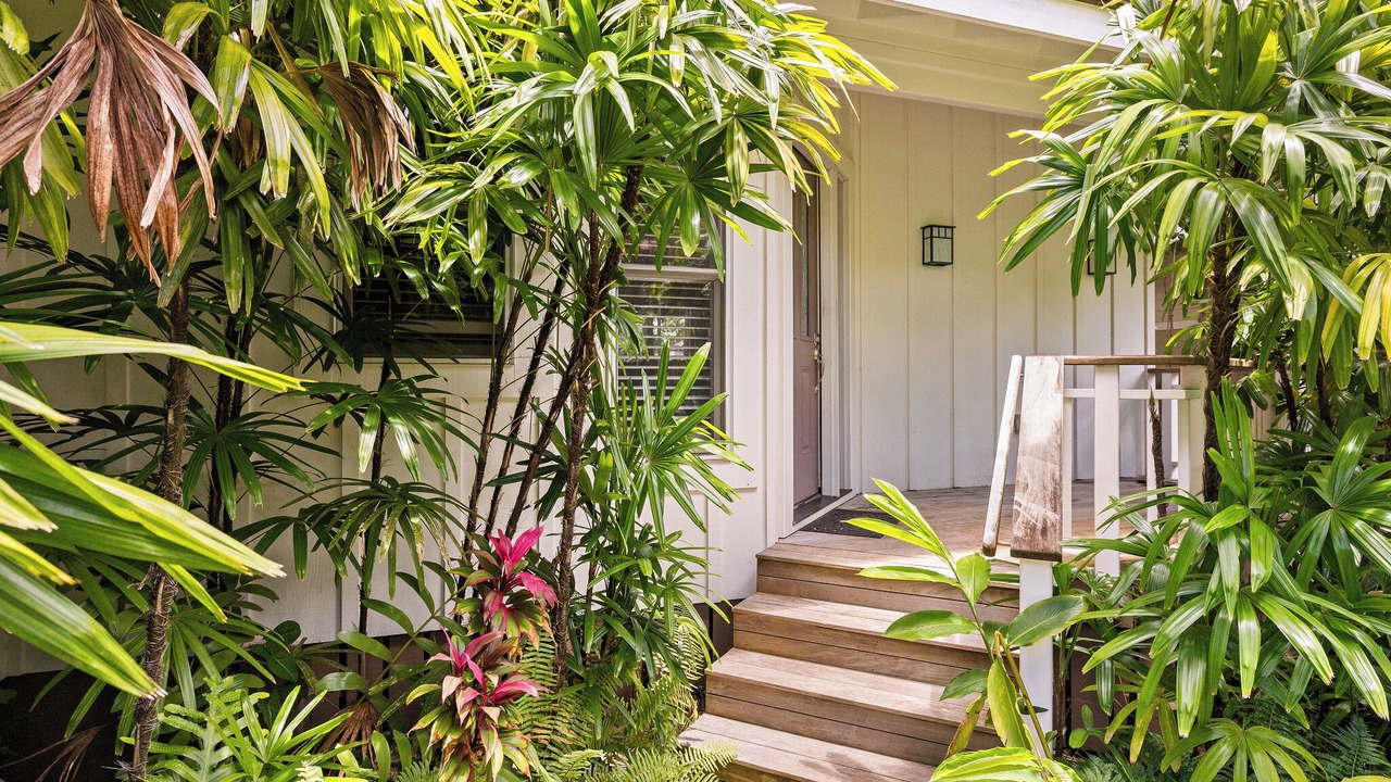 Photo of Outdoor in Laie