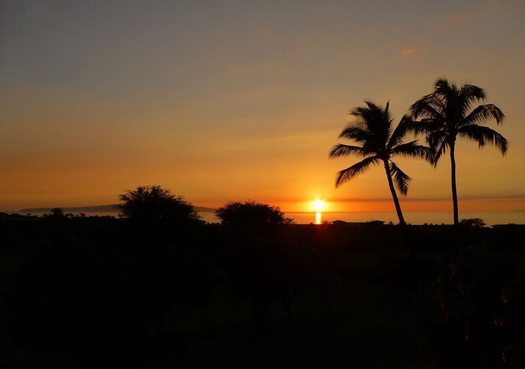 Photo of Others in Wailea