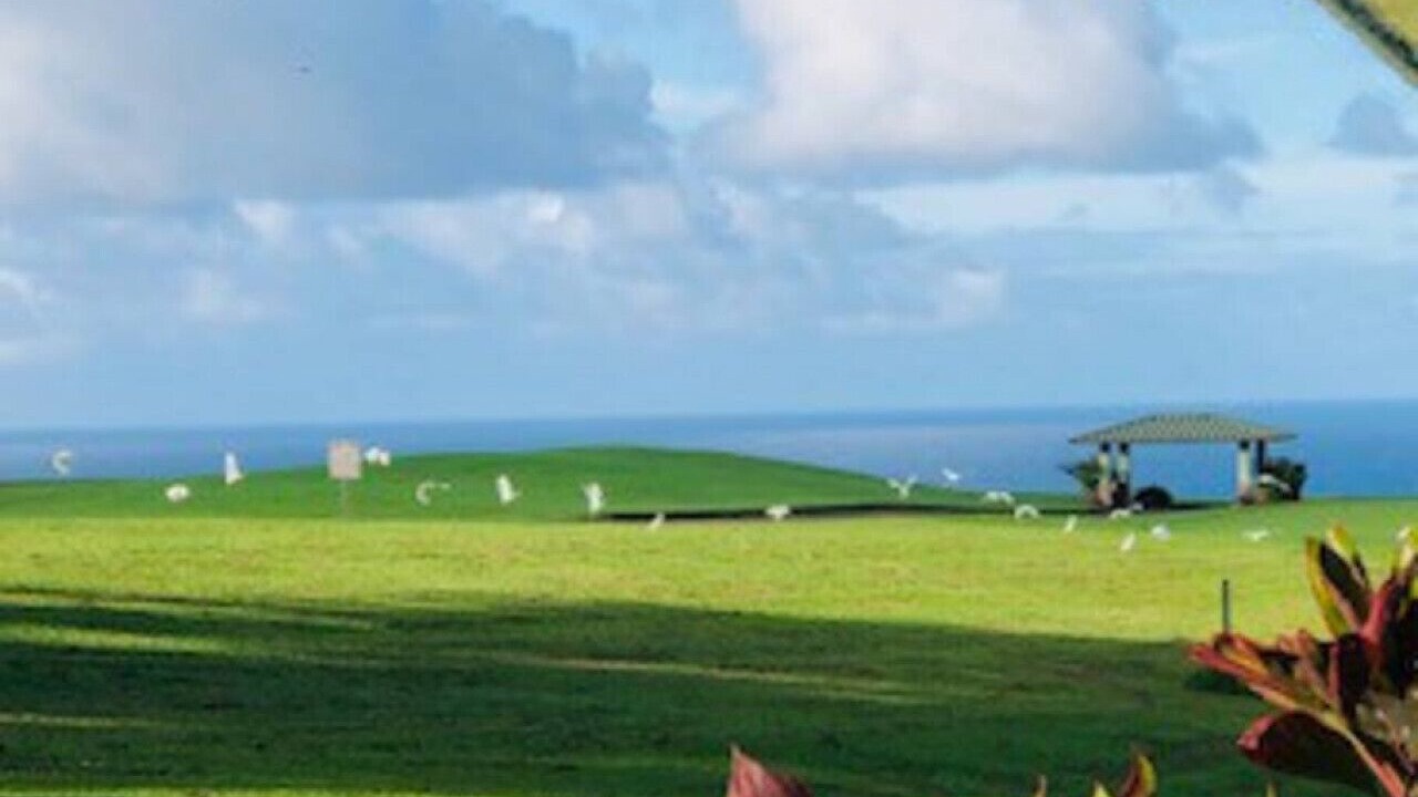 Photo of Others in Princeville