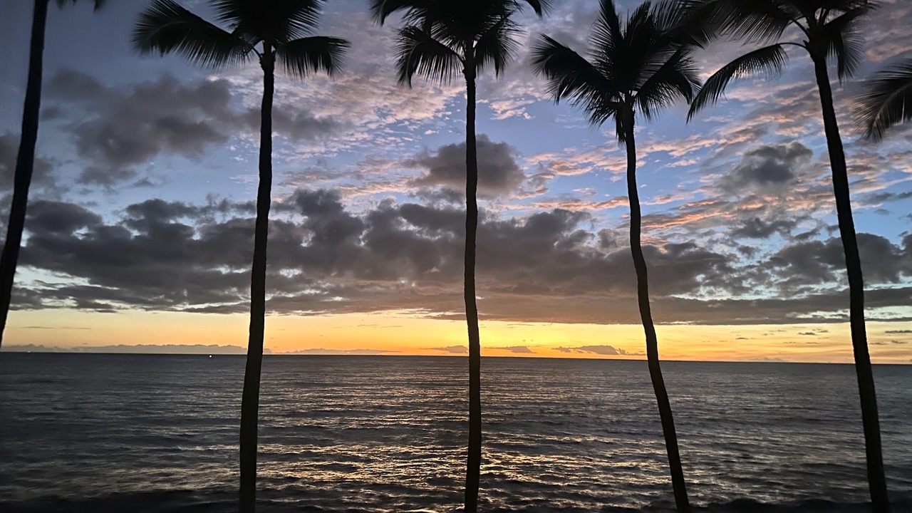 Photo of Others in Kahaluu Bay