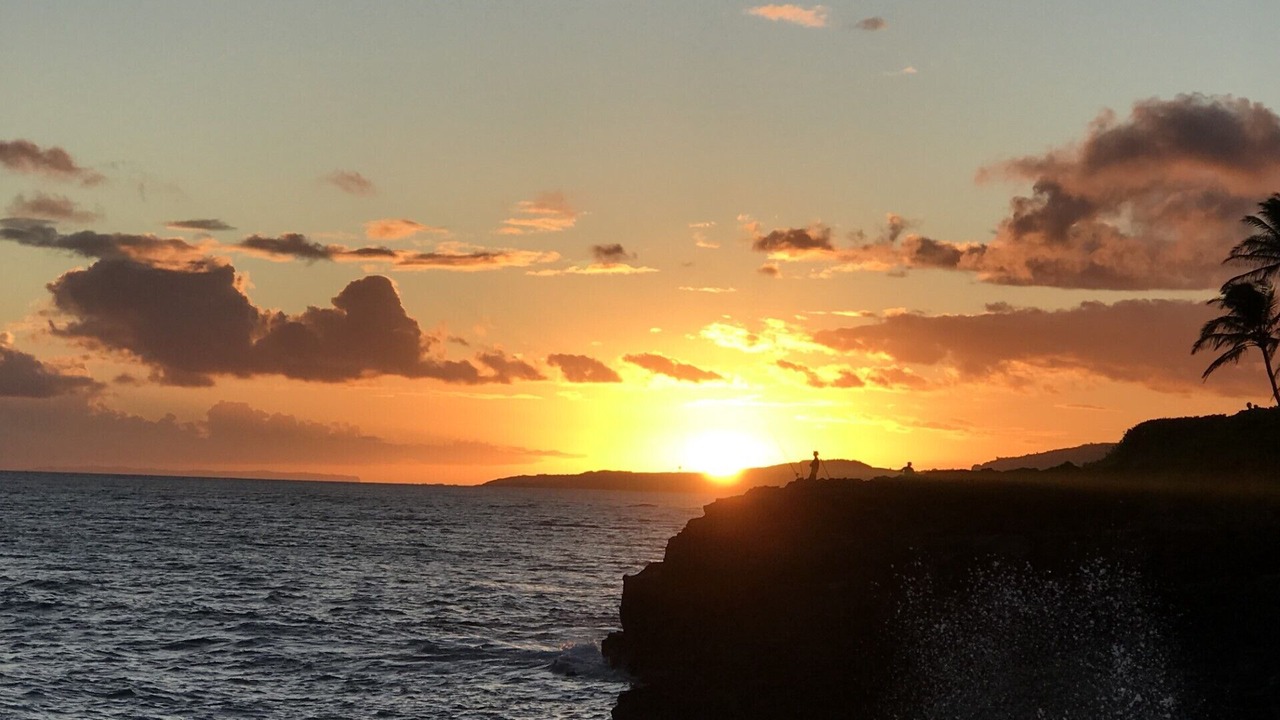 Photo of Others in Poipu