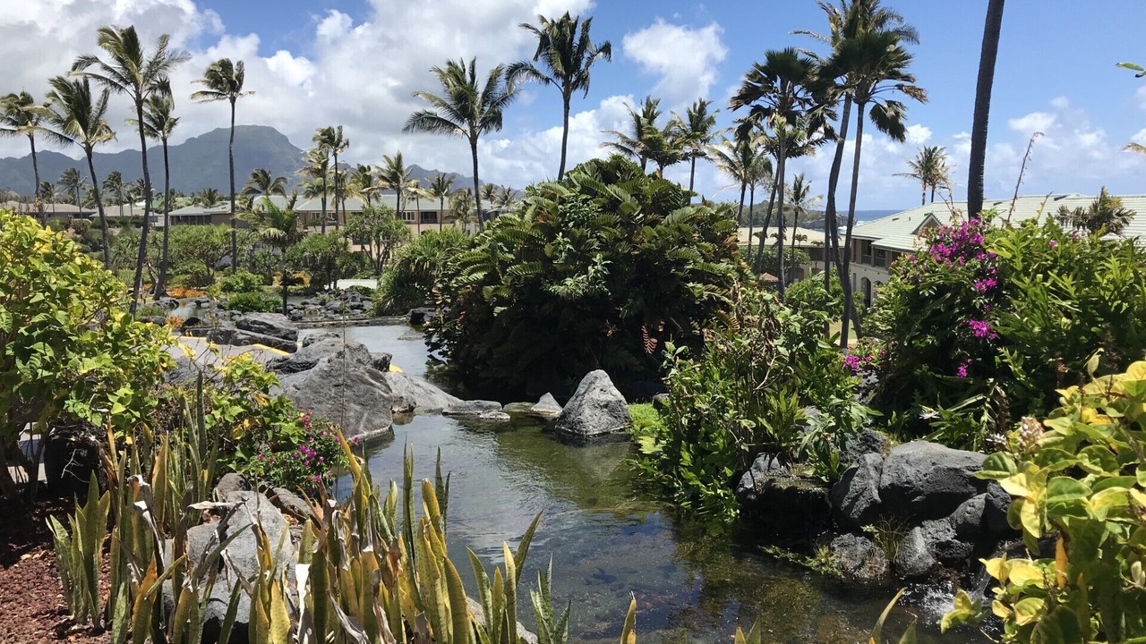 Photo of Outdoor in Poipu
