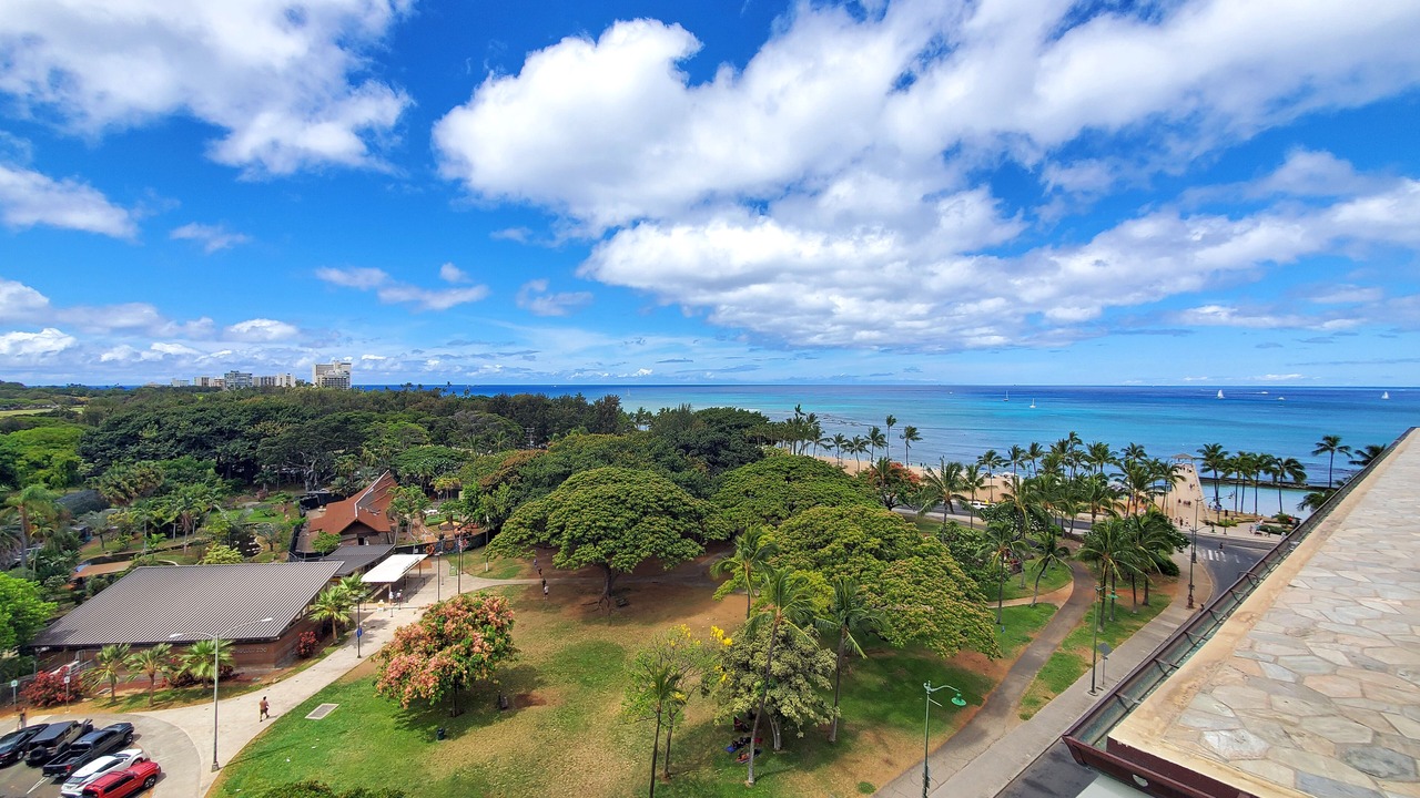 Photo of Others in Waikiki