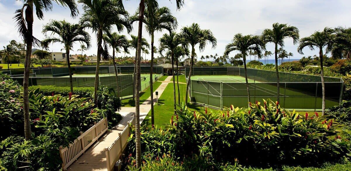 Photo of Others in Poipu