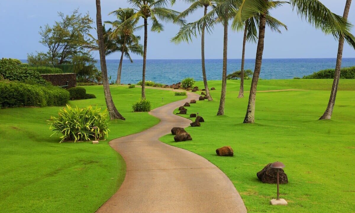 Photo of Others in Poipu