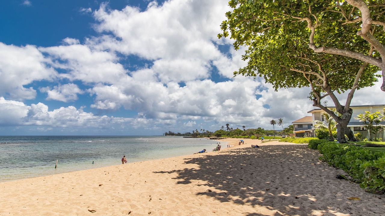 Photo of Others in Waialee