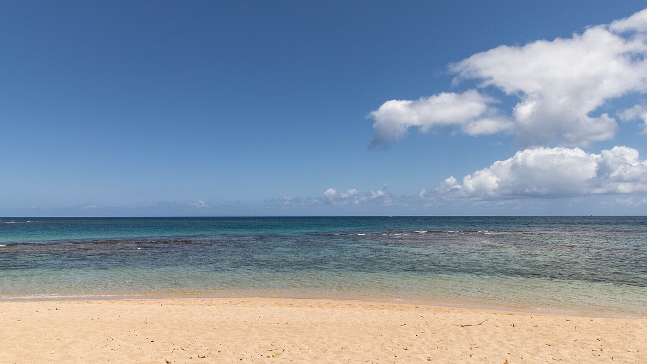 Photo of Others in Waialee