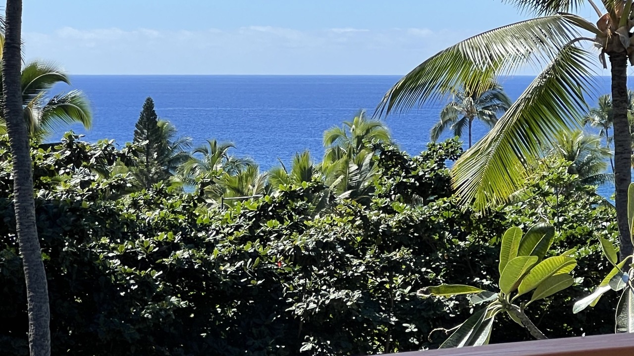 Photo of Others in Keauhou