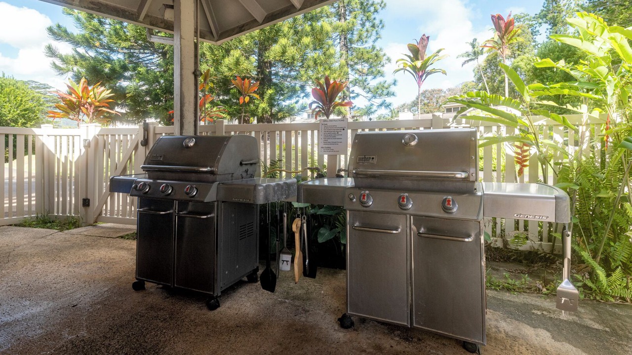 Photo of Outdoor in Princeville