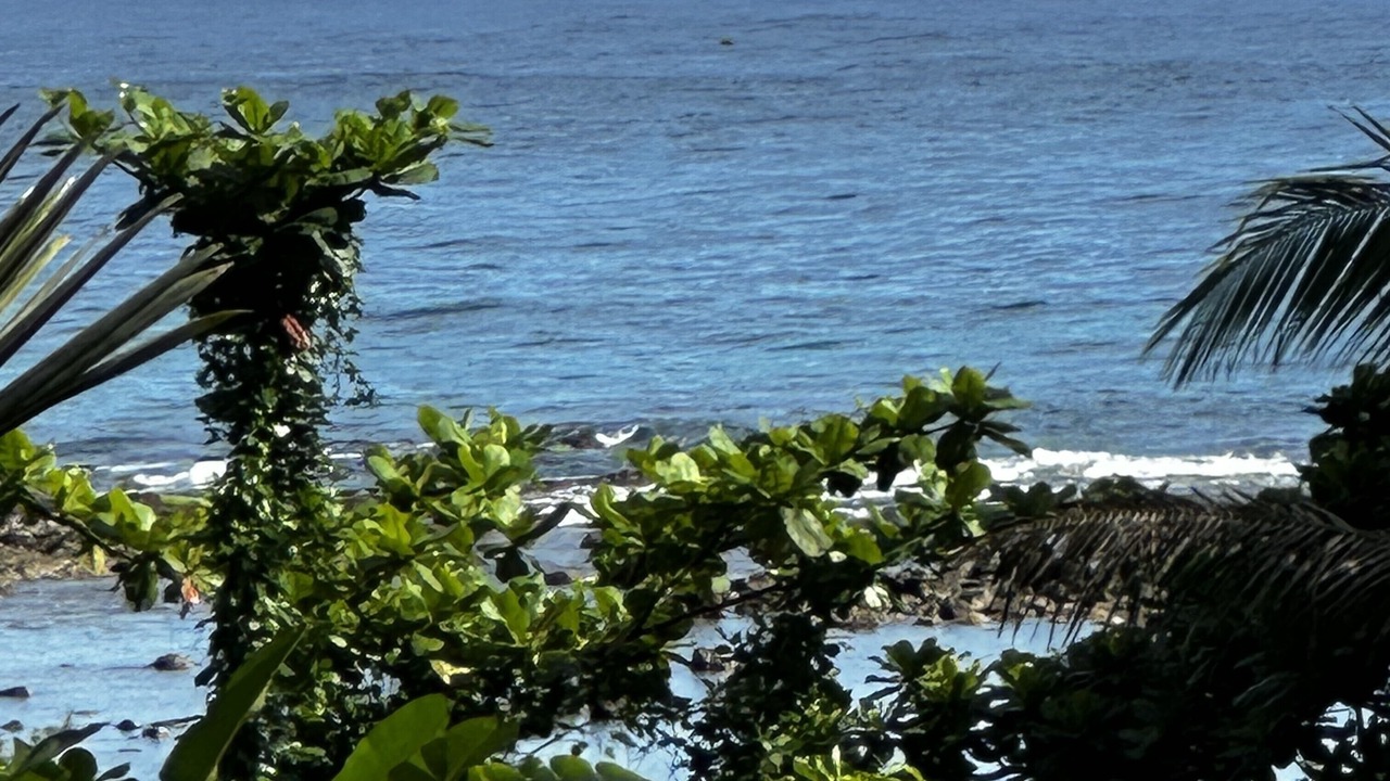Photo of Others in Hilo