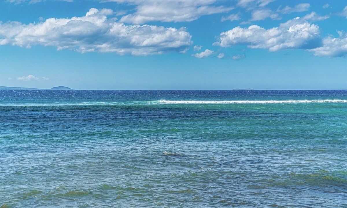 Photo of Others in Maalaea
