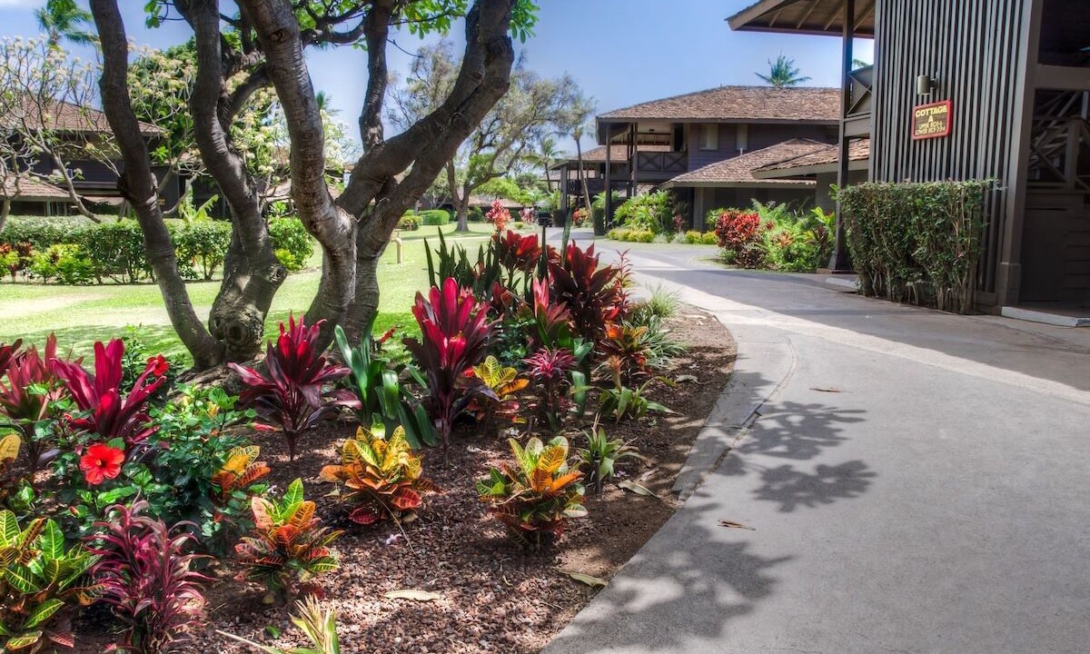 Photo of Outdoor in Lahaina