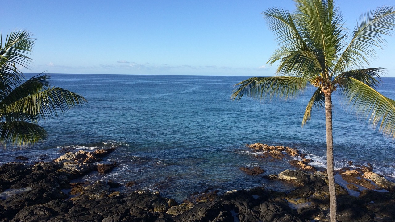 Photo of Others in Historic Kailua Village