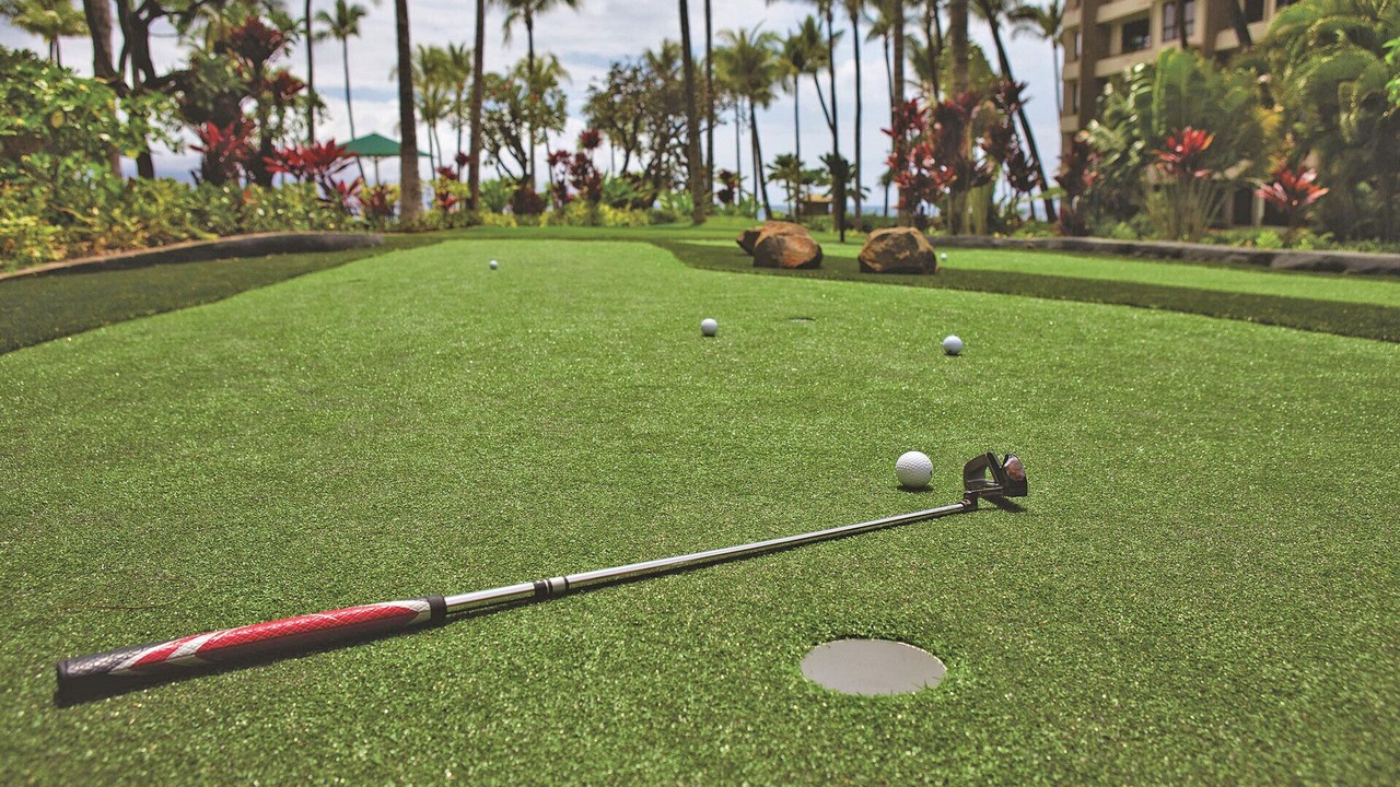 Photo of Others in Kaanapali