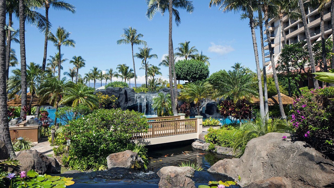 Photo of Others in Kaanapali