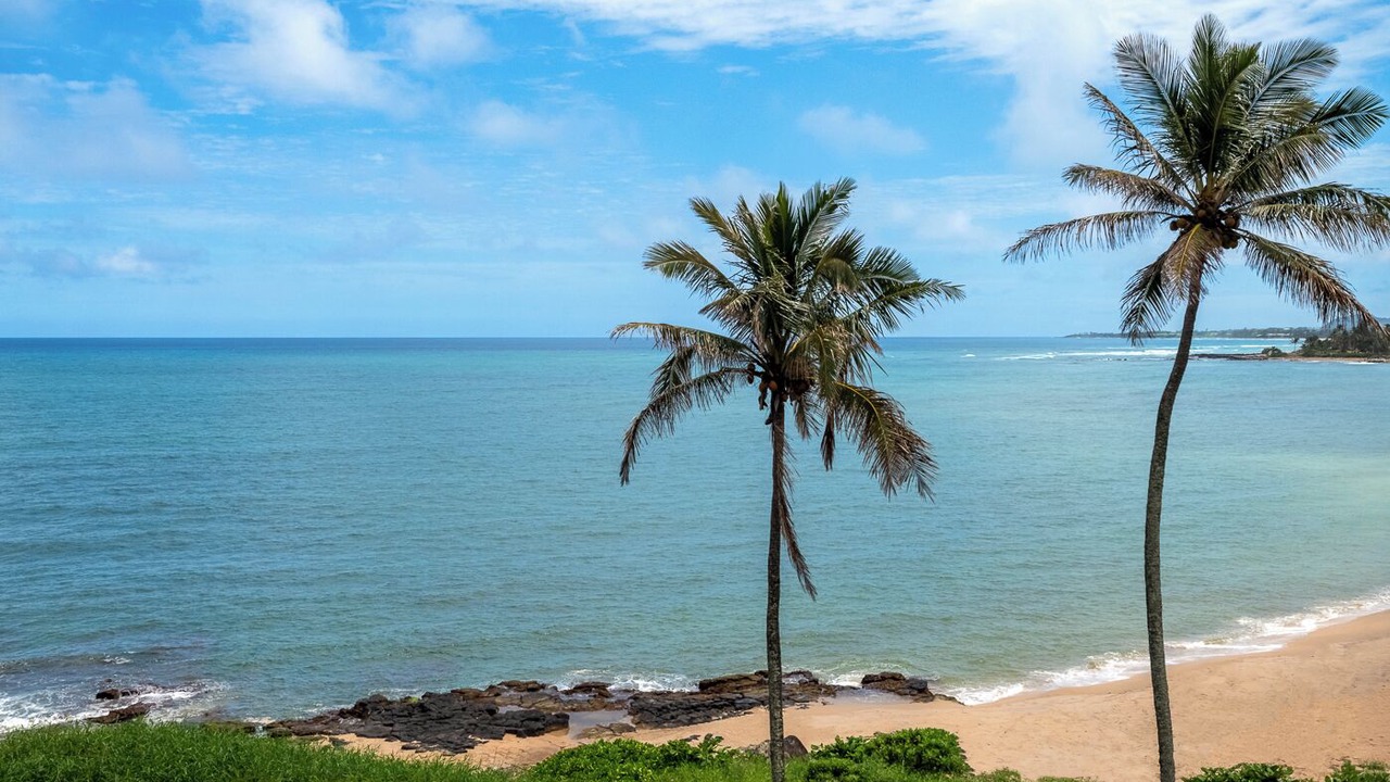 Photo of Others in Wailua