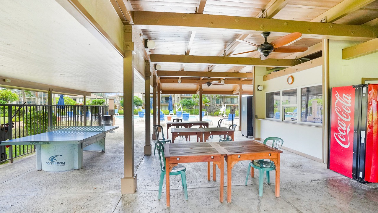 Photo of Outdoor in Kapaa