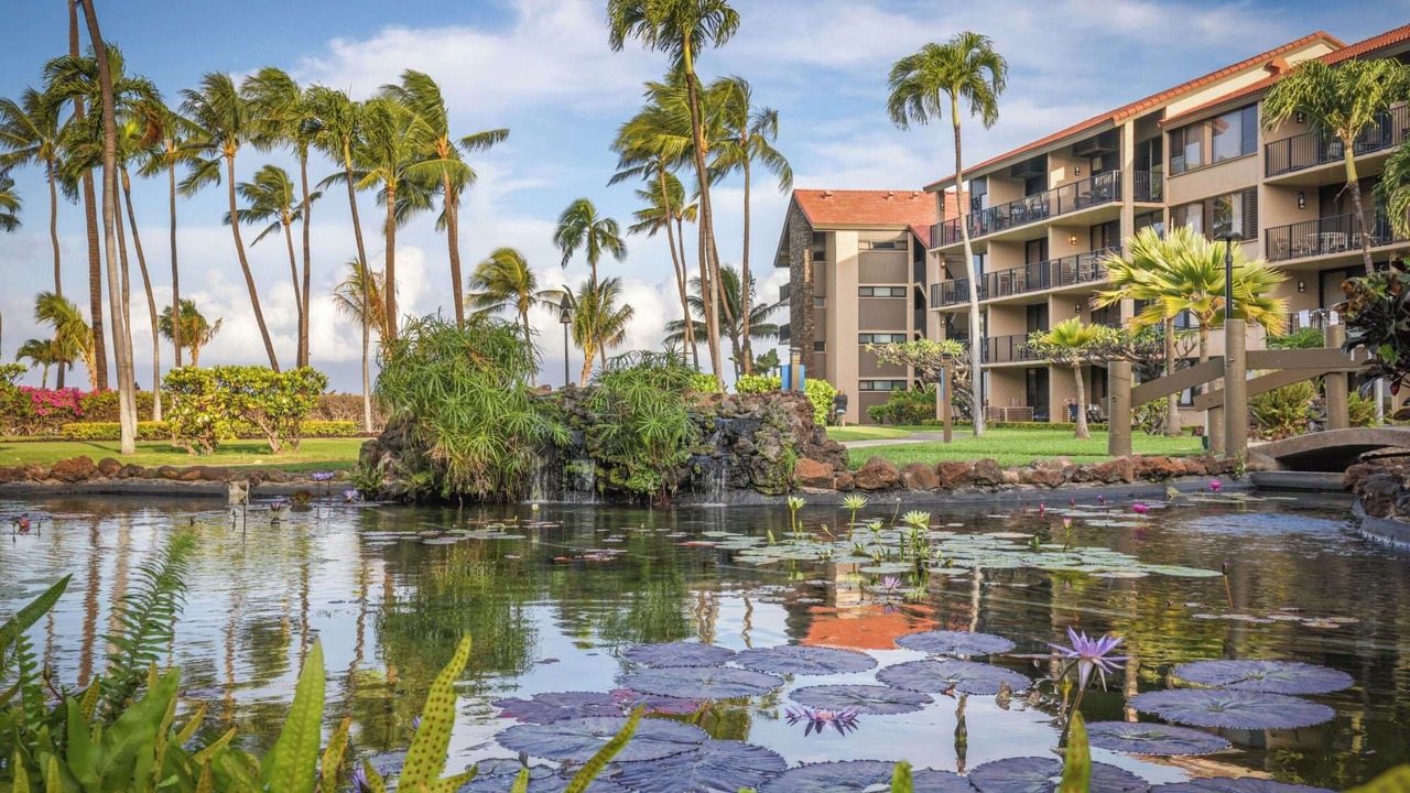 Photo of Outdoor in Honokowai