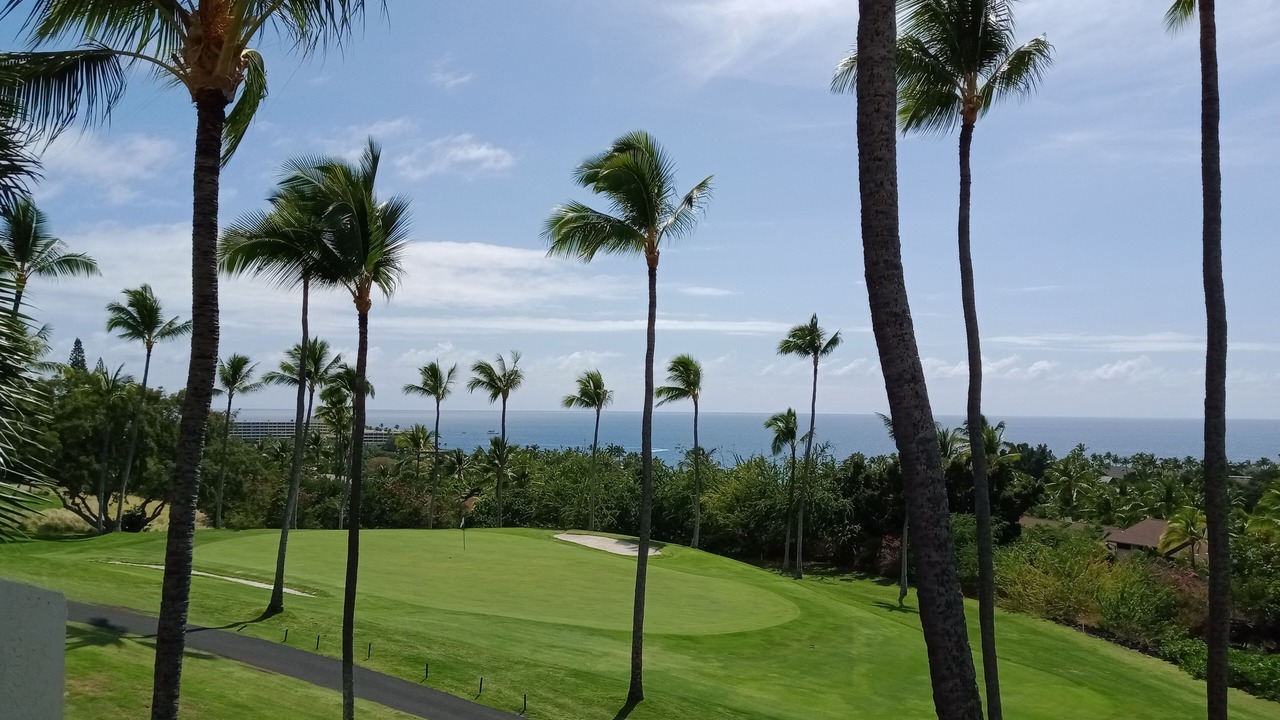 Photo of Others in Keauhou