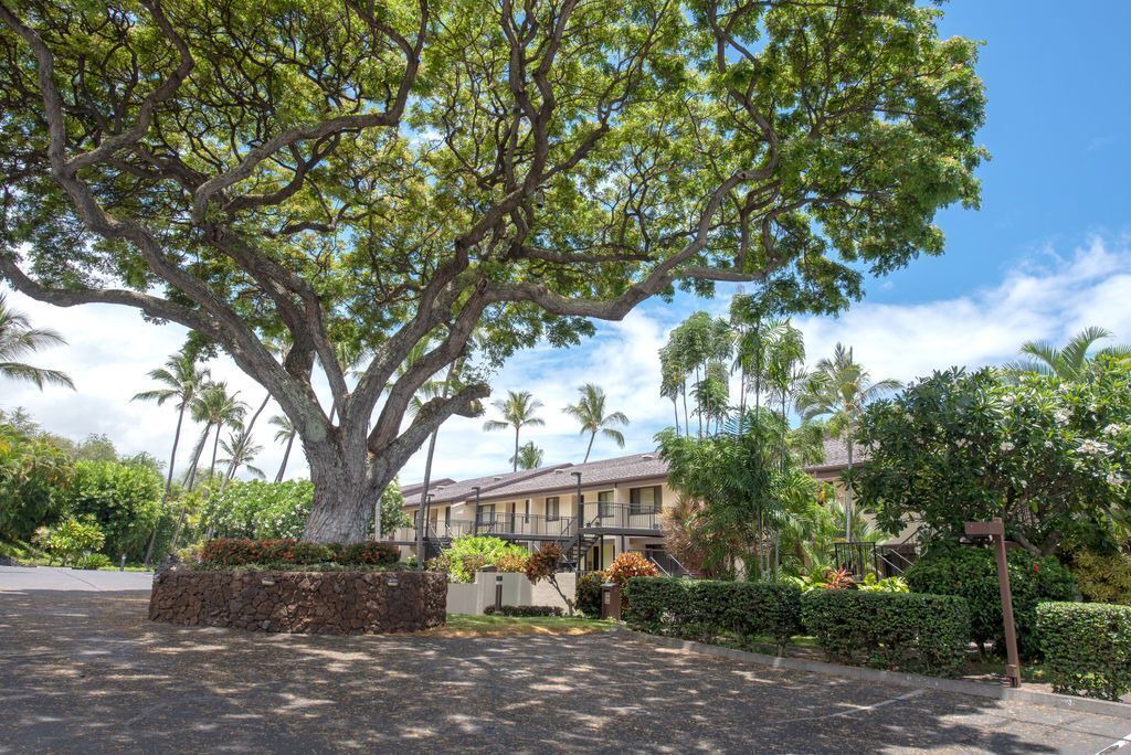 Photo of Outdoor in Keauhou