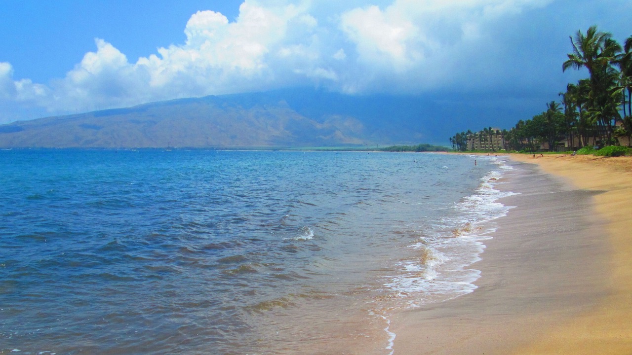 Photo of Others in Maalaea