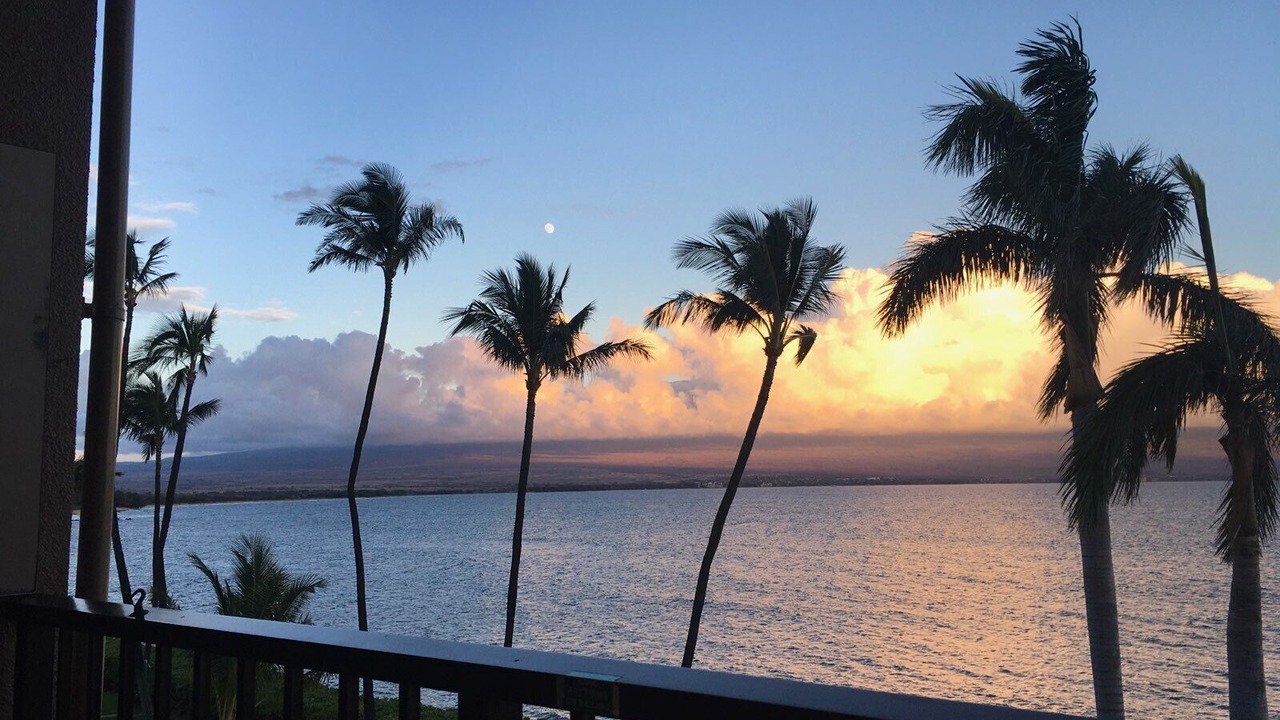Photo of Others in Maalaea