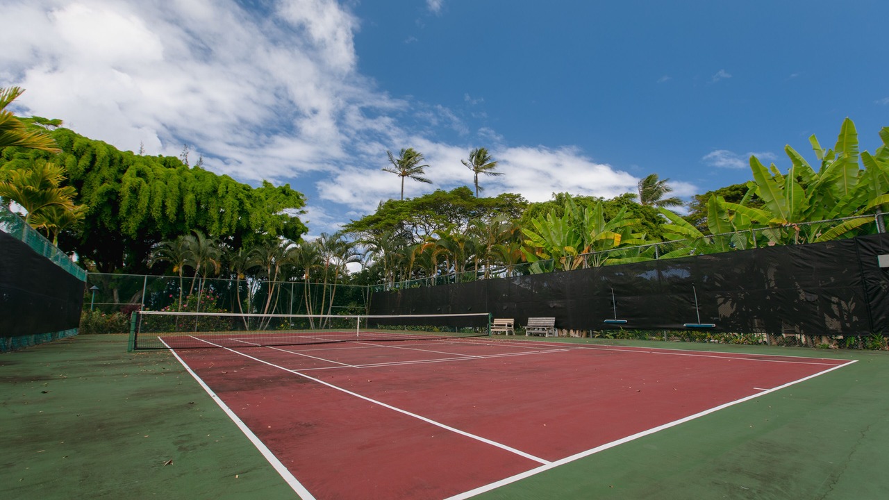 Photo of Others in Wailua