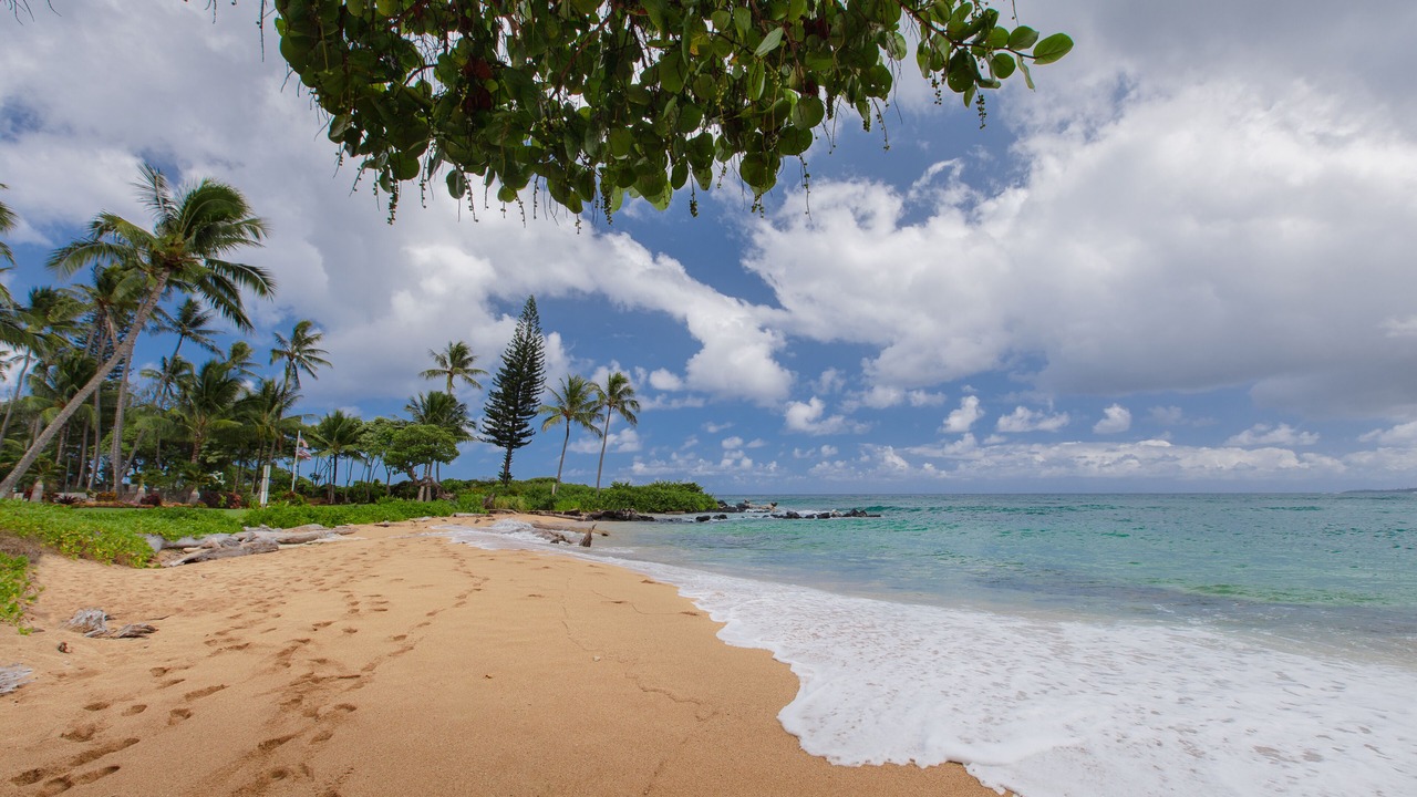 Photo of Others in Wailua