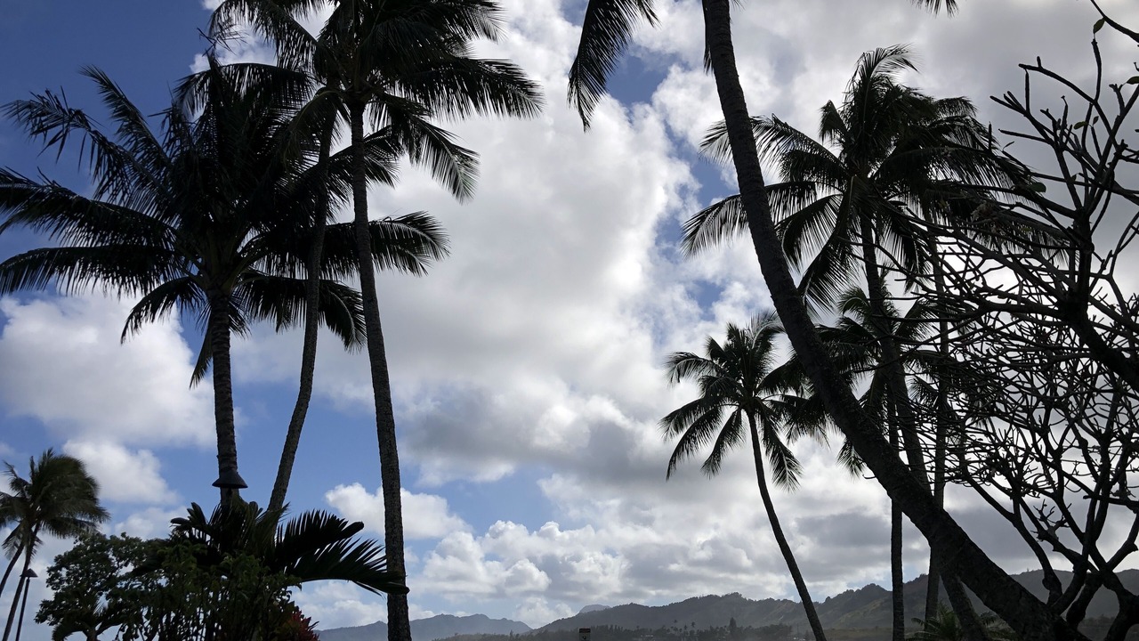 Photo of Others in Wailua