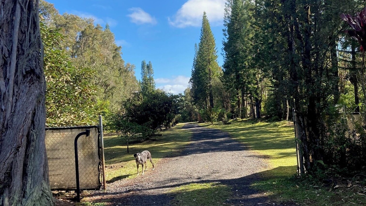 Photo of Others in Fern Acres
