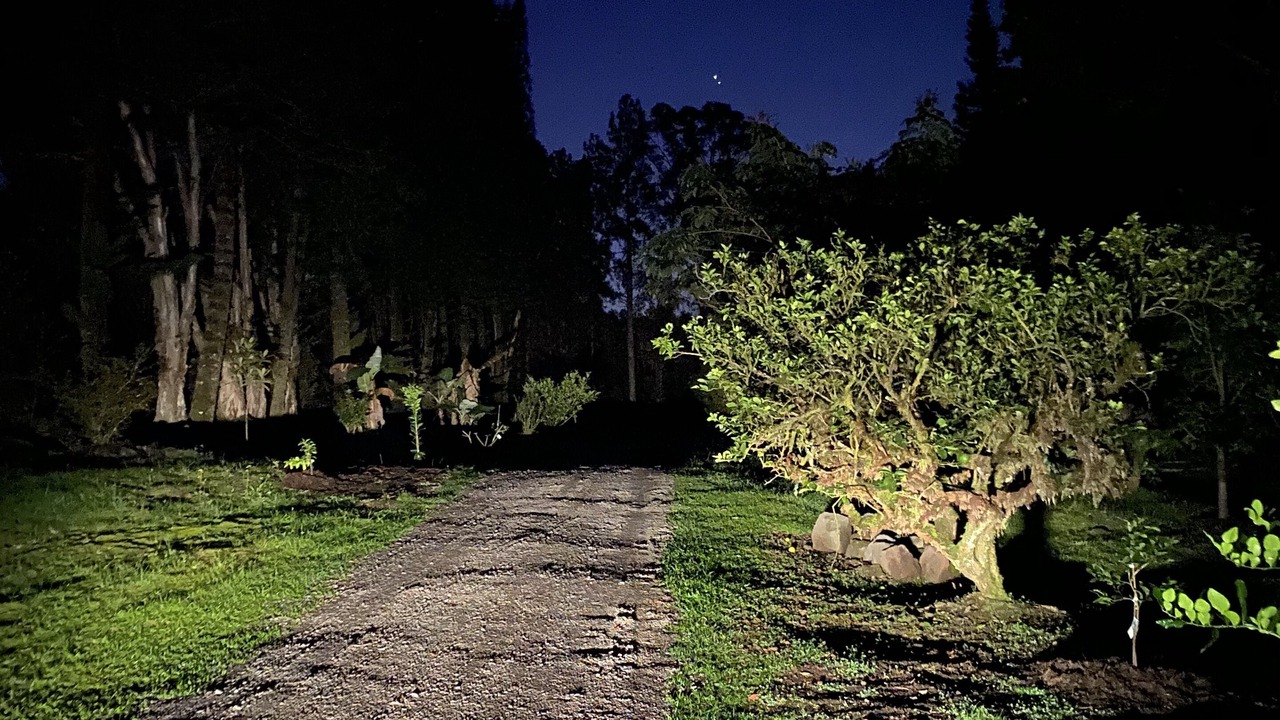 Photo of Others in Fern Acres