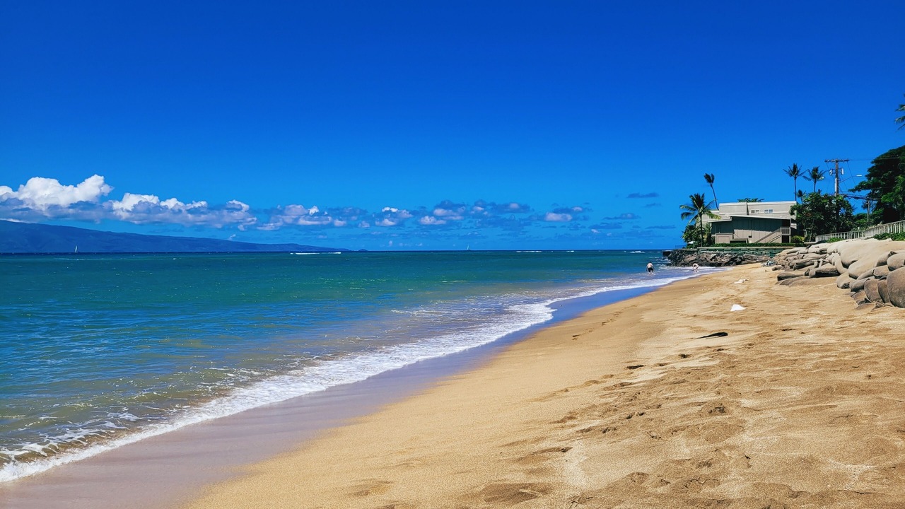 Photo of Others in Kahana