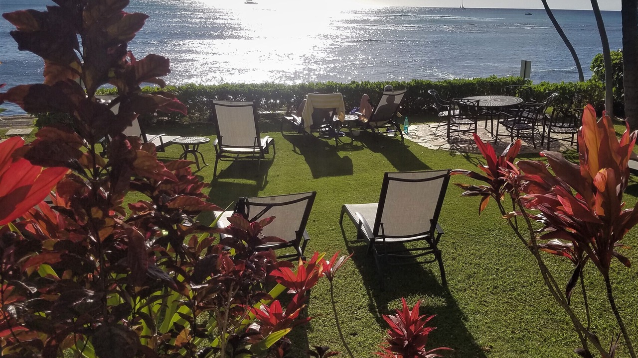 Photo of Others in Diamond Head - Kapahulu - St. Louis