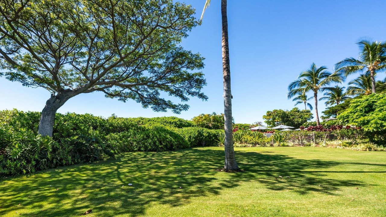 Photo of Outdoor in Waikoloa
