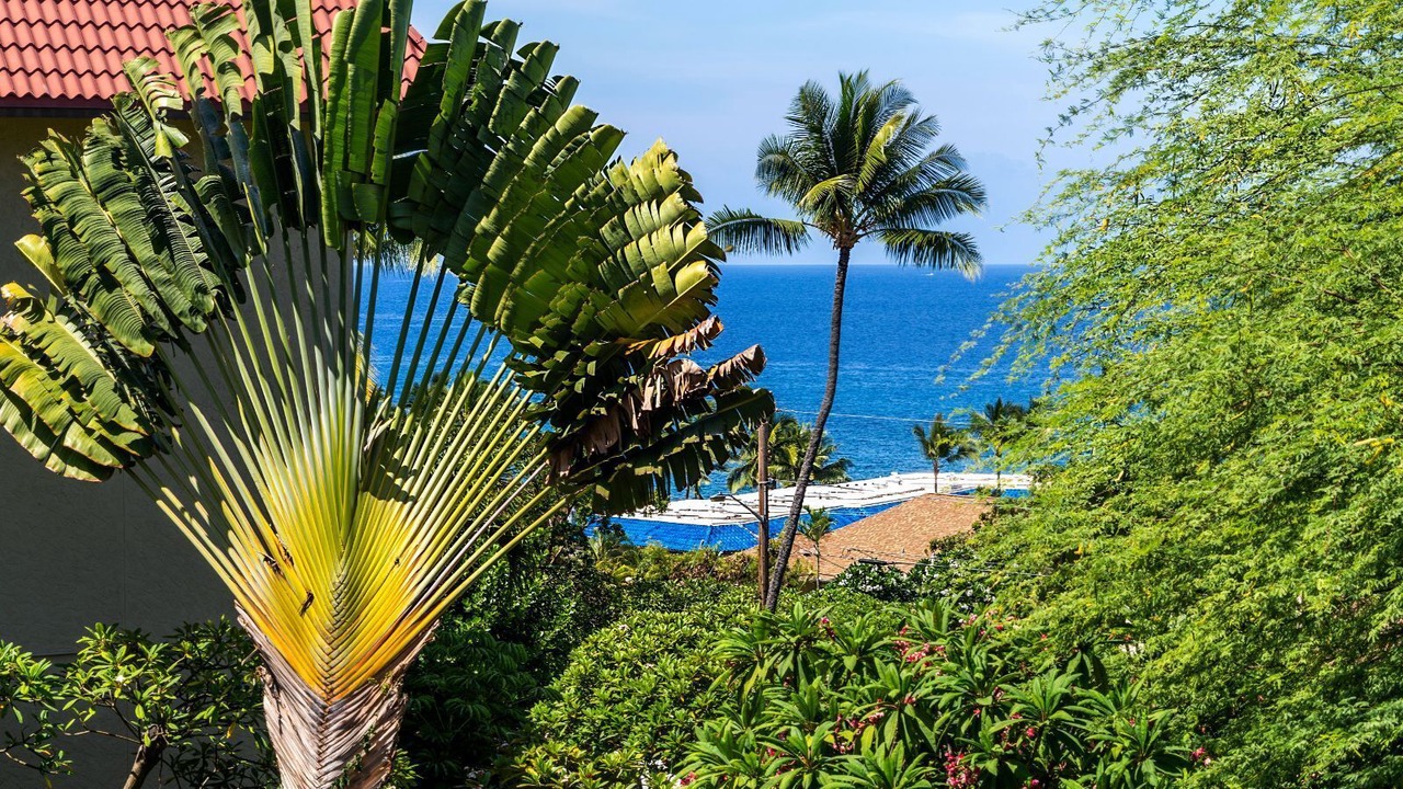 Photo of Outdoor in Historic Kailua Village
