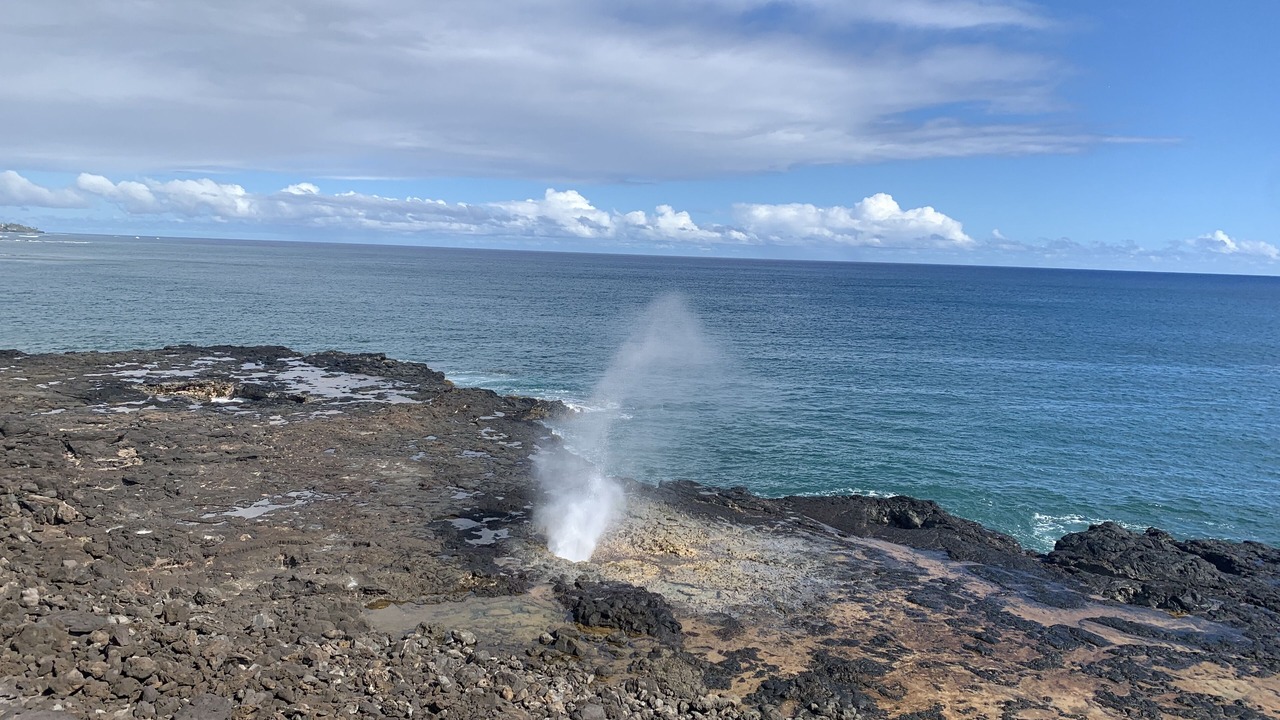 Photo of Others in Poipu